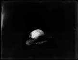 [Snails]