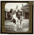 16. Drum Horse, 17th Lancers.