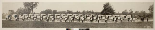 [Star-Palace Laundry wagons with horses and drivers]