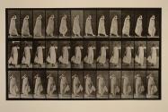 Walking, left hand holding dress, right hand at face