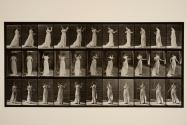 Walking, turning around, action of aversion