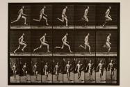 Running at a half-mile gait (shoes)
