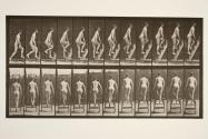 Ascending step-ladder