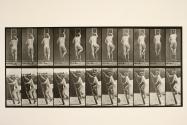 Ascending ladder