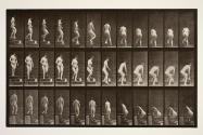 Descending stairs, stooping to lift a pitcher