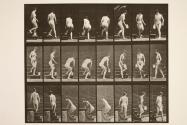 Descending stairs, stooping, lifting pitcher, turning
