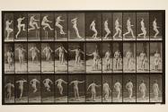 Jumping; running straight high jump