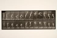 Jumping; standing high jump