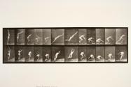 Jumping; standing broad jump