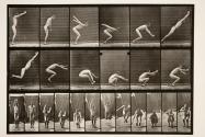 Jumping; standing broad jump (shoes)