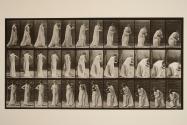 Carrying and stooping with vase