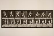 Baseball; batting