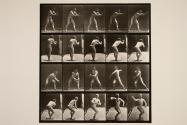 Baseball, catching and throwing
