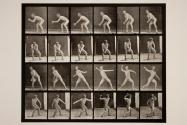 Baseball; catching and throwing