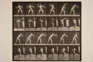 Base-ball; throwing