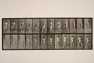 Cricket; over arm bowling