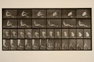 Rowing