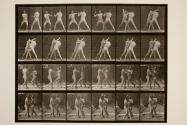 Boxing; cross-counter (shoes)