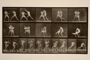 Boxing; stop for cross-buttocks (shoes)