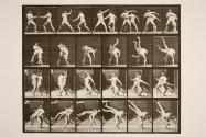Boxing; cross-buttocks (shoes)