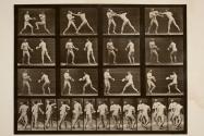 Boxing; with gloves (shoes)