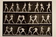 Boxing; open hand (shoes)