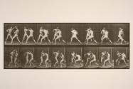 Boxing; open hand