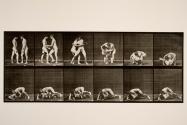 Wrestling; lock