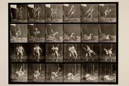 Wrestling; Graeco-Roman