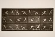 Fencing