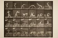 Hand-spring over man's back