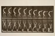 Acrobat descending stairs on hands