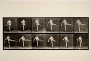 First ballet action