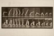 Acrobat, vertical "press up"