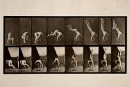 Acrobat, "press up" from chair