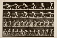 Carpenter, planing a board