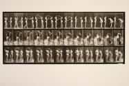 Two models, 9 taking water-jar from shoulder of 10