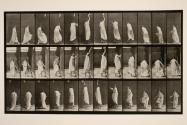 Stepping on chair, reaching up, and descending