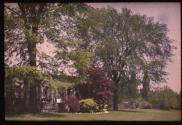 [George Eastman House]