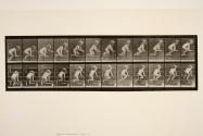 Child, crawling up-stairs