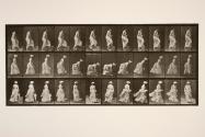 A, ascending a step; B, lifting a handkerchief from the ground; C, walking; D, running