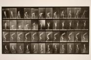 A, lawn tennis; B, dumb-bells; C, walking on hands; D, ascending stairs