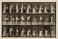 Miscellaneous phases of the toilet