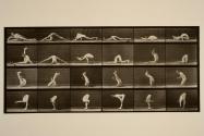 Contortions on the ground