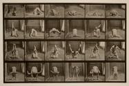 Contortions on the ground