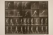 A, throwing disc; B, ascending step; C, walking
