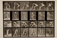 A, 98 and 100, wrestling; B, 99 and 100, wrestling; C, 99 and 101, wrestling; D, 98 and 101, sparring without gloves