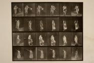 A, throwing water from bucket; B, descending step; C, ascending step; D, lawn tennis