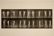 Various poses