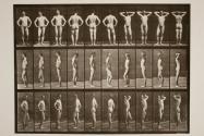 Various poses